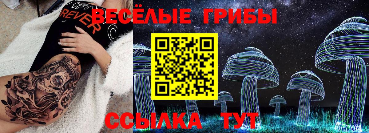 Галлюциногенные грибы прущие грибы Белово