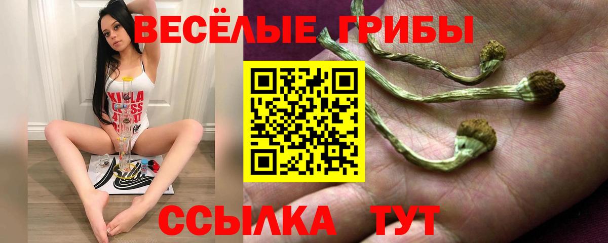 купить закладку  Псилоцибиновые грибы мухоморы  Белово  Вход с VPN  Псилоцибиновые грибы прущие грибы 